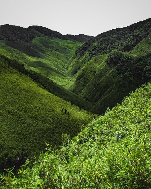 northeast india green mountains
